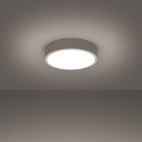 LED Deckenleuchte Aluminium Weiß 3000 K Ø30...