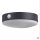 LED Solar Deckenleuchte Sensor Schwarz Alu 3000K IP44