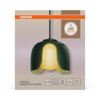 Hängelampe Glas Metall Modern E27 Grün L:20 cm...