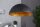 Suspension Ø50cm rond Design moderne or noir