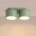 Deckenlampe 2-flammig Aluminium Salbei GX53 L:21 cm