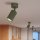 Deckenspot verstellbar Aluminium Olivgrün GU10 Ø6,5 cm