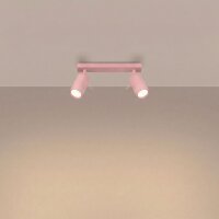 Deckenspot 2-flammig schwenkbar Stahl GU10 L:30 cm