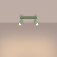 Deckenspot verstellbar 2-flammig Stahl GU10 L:30 cm