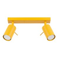 Deckenspot schwenkbar Stahl 2-flammig GU10 L:30 cm