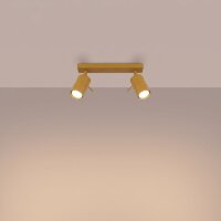 Deckenspot schwenkbar Stahl 2-flammig GU10 L:30 cm