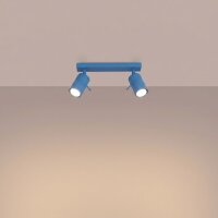 Deckenspot schwenkbar 2-flammig Stahl GU10 L:30 cm
