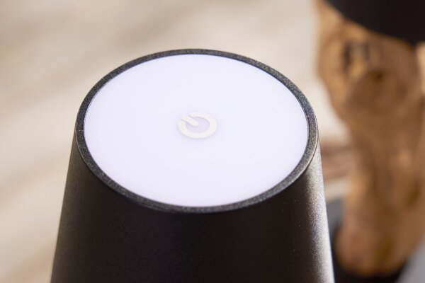 LED Tischleuchte außen Akku Touch Dimmer Treibholz Metall IP54