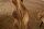 Stehlampe Holz Stoff 131 cm hoch Natur Beige Modern E27