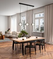Hängelampe Rauchglas E27 Schwarz L:87 cm dekorativ
