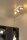 LC53910/03/31 - Spot/Strahler DRATO