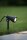 LC27882/05/30 - Stehlampe NONI