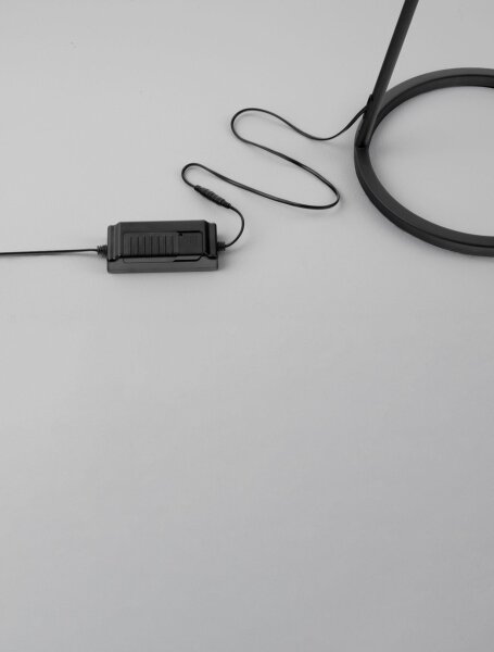 LED Stehlampe 153 cm Schwarz dimmbar warmweiß HAVEN Modern