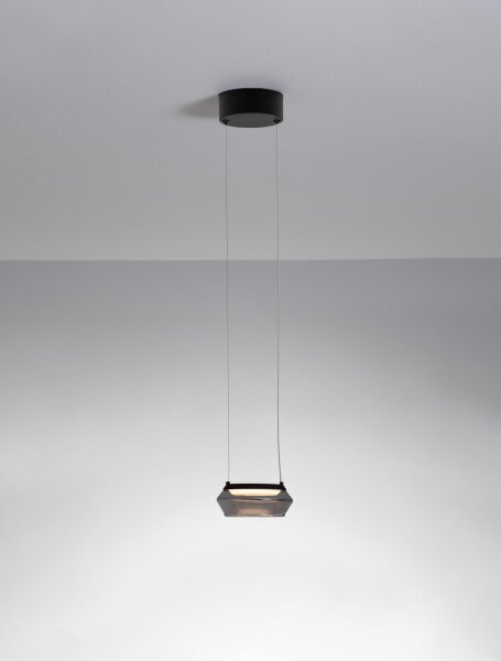 LED Pendelleuchte Ø 14 cm Schwarz höhenverstellbar Rauchglas