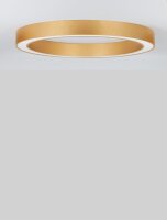 LED Deckenlampe Ring Ø 80 cm in Gold dimmbar CCT...