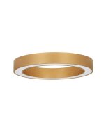 LED Deckenleuchte in Gold &Oslash; 60 cm dimmbar Ring...