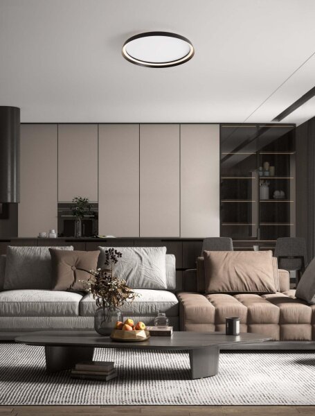 LED Deckenleuchte Schwarz Ø 60 cm dimmbar flach CCT NEWTON