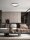 LED Deckenleuchte Schwarz Ø 60 cm dimmbar flach CCT NEWTON