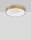 LED Deckenlampe in Gold gebürstet Ø 38 cm dimmbar rund PERRY