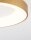 LED Deckenlampe in Gold gebürstet Ø 38 cm dimmbar rund PERRY