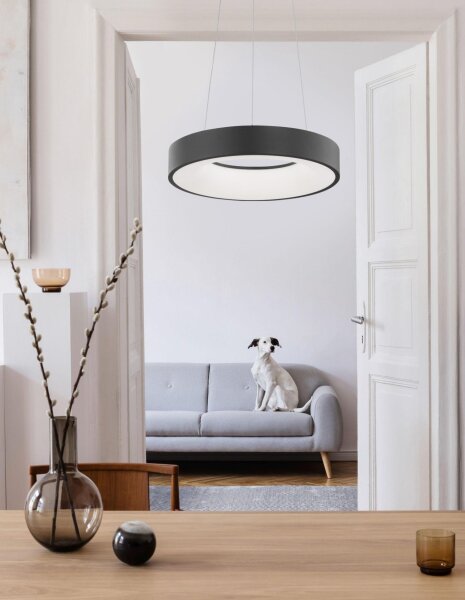 LED Hängelampe Ø 38 cm dimmbar Schwarz höhenverstellbar Ring