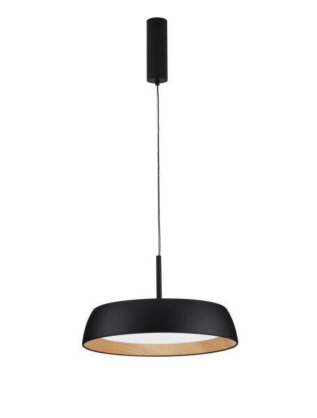LED Hängeleuchte Schwarz Ø 45 cm dimmbar höhenverstellbar