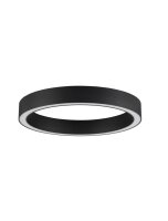 LED Deckenlampe 60 cm lang Schwarz dimmbar Ring...
