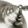 Lampe de cour KAVALA laiton verre IP64 inox extérieur