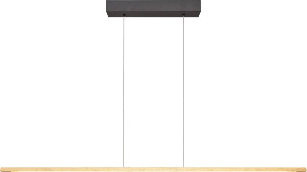 LED Hängelampe dimmbar 2200-3000K Schwarz Blattgold
