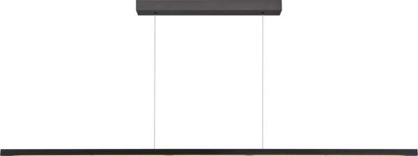 LED Pendelleuchte dimmbar 2200-3000K Schwarz L:200 cm