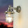 Applique murale extérieure nickel laiton véritable IP64 Cour