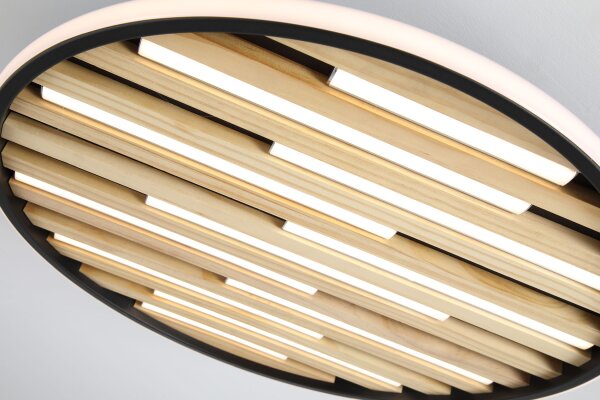 LED Deckenlampe dimmbar 3000K Metall Schwarz Ø49 cm