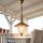 Suspension Extérieur Laiton Verre IP23 Rustique