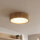 Plafonnier salon chêne rond bois lampe
