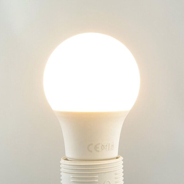 Ampoule LED E27 10,5 Watt 2700 K 1055 lm clair - LM10055