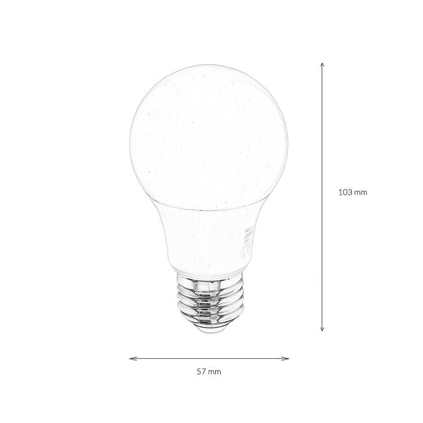 Ampoule LED E27 10,5 Watt 2700 K 1055 lm clair - LM10055